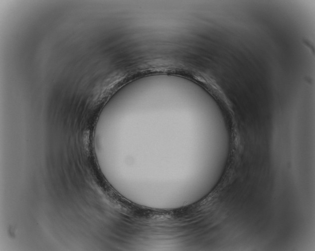 X0000103460066200809121107