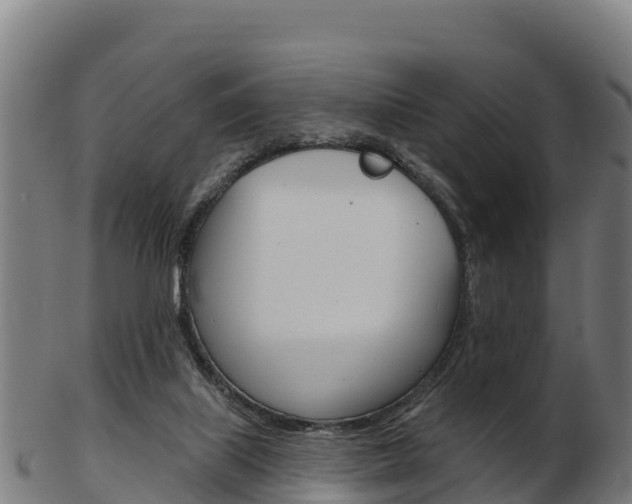 X0000103460067200809121107