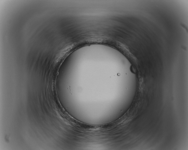 X0000103460068200809121107