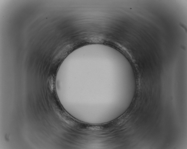 X0000103460069200809121107