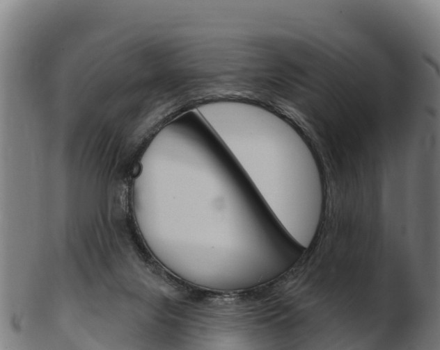 X0000103460071200809121107