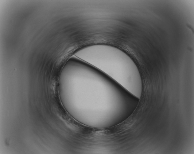 X0000103460072200809121107