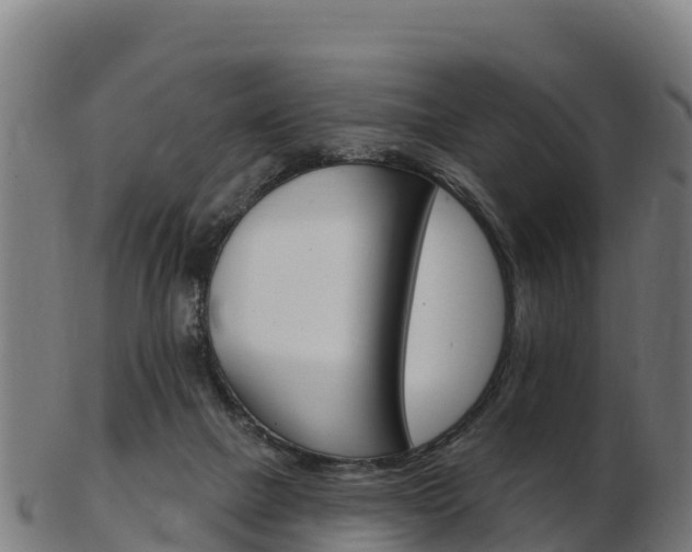 X0000103460073200809121107