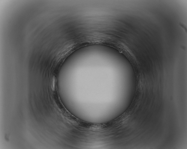 X0000103460076200809121107