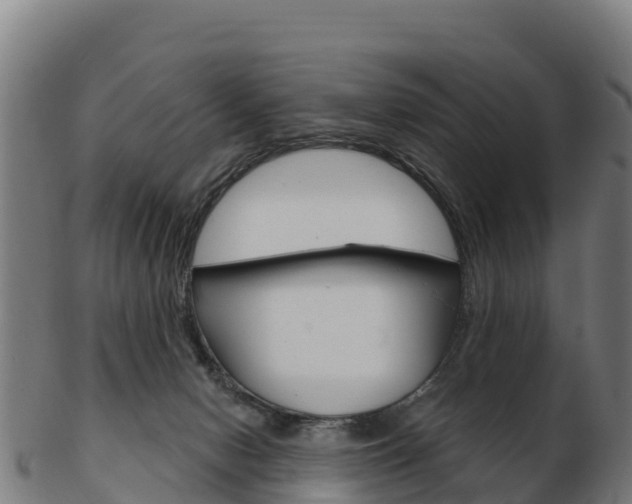 X0000103460078200809121107