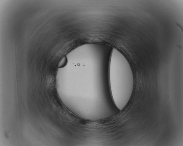 X0000103460079200809121107