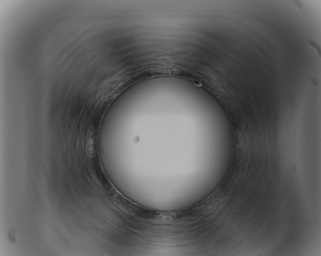 X0000103460080200809121107