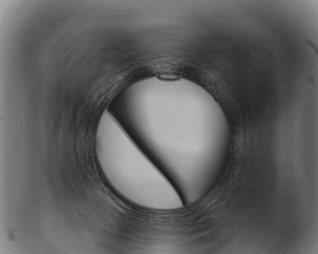 X0000103460081200809121107