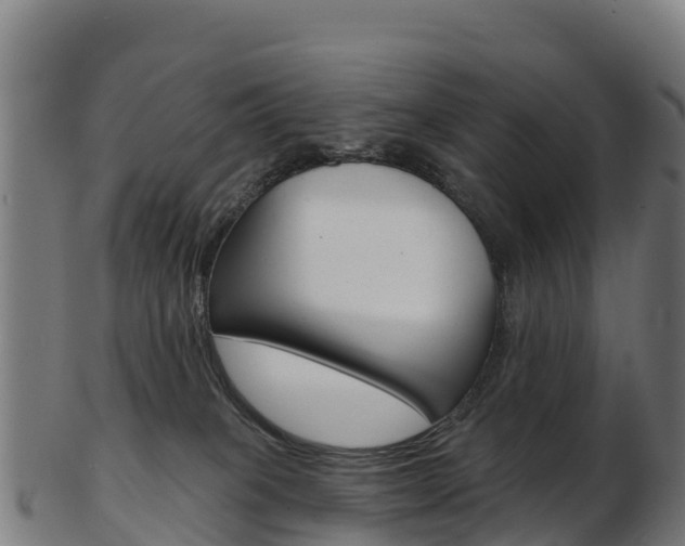 X0000103460085200809121107