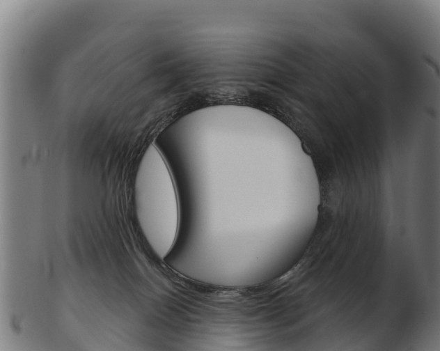 X0000103460086200809121107