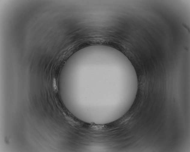 X0000103460089200809121107