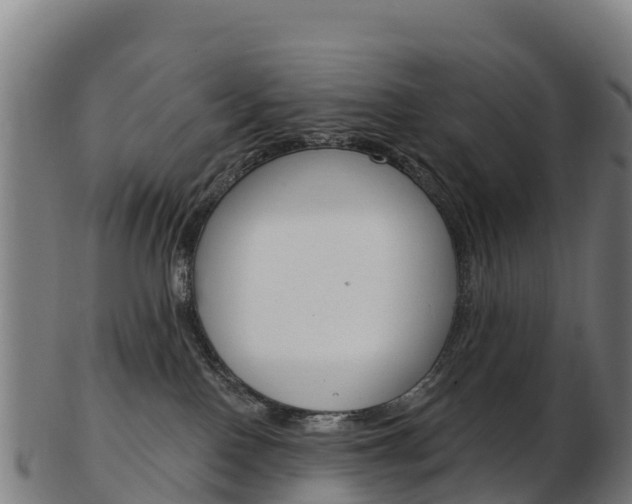 X0000103460090200809121107