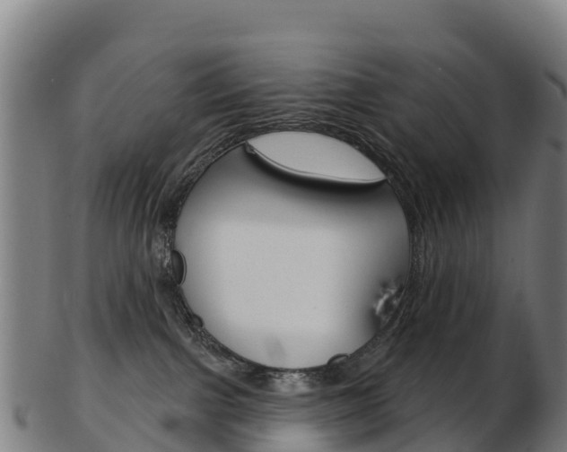 X0000103460091200809121107