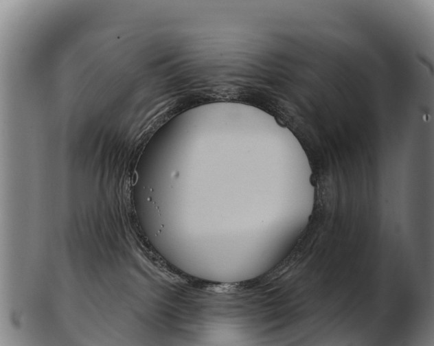 X0000103460092200809121107