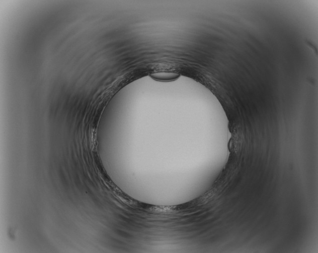 X0000103460093200809121107