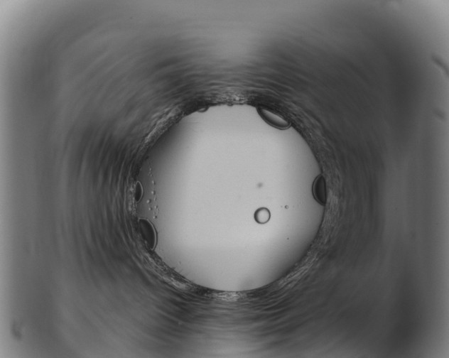X0000103460096200809121107