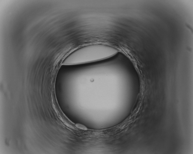 X0000103460097200809121106
