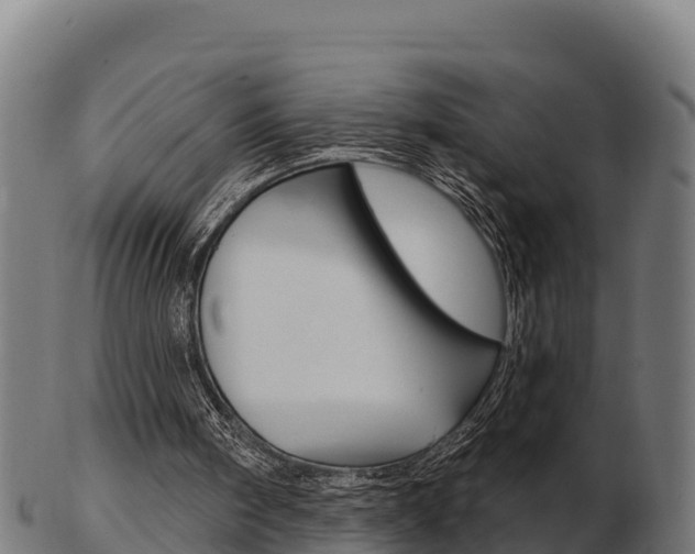 X0000103460098200809121106