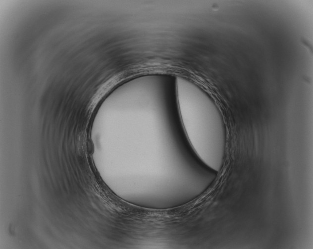X0000103460099200809121106