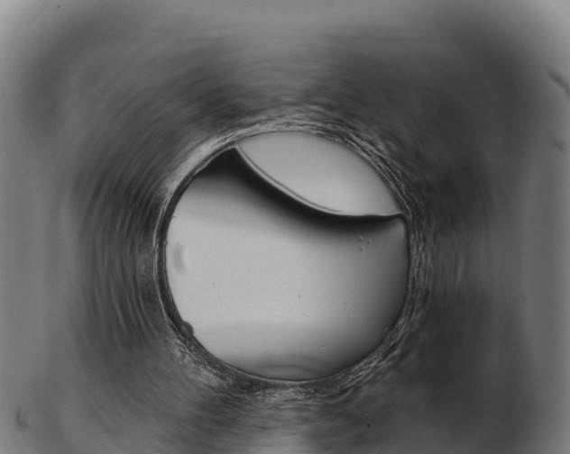 X0000103460100200809121106