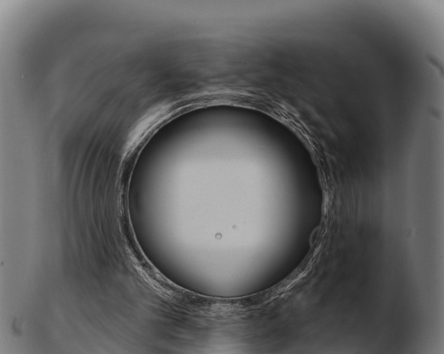 X0000103460101200809121106