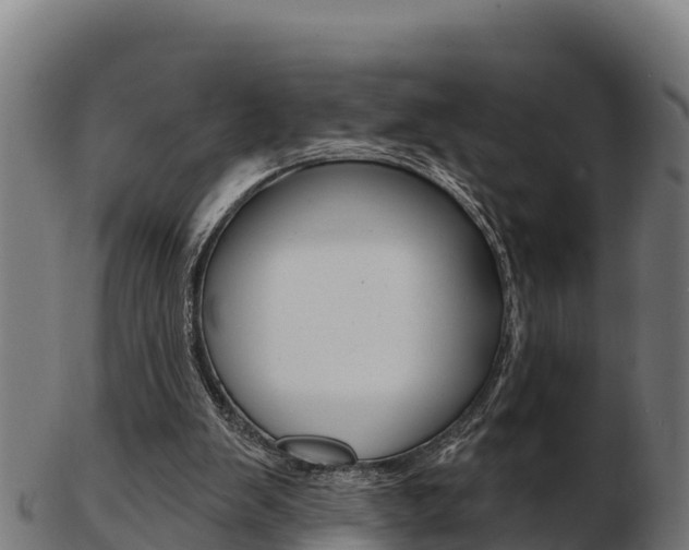 X0000103460103200809121106