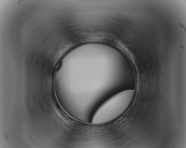 X0000103460107200809121106