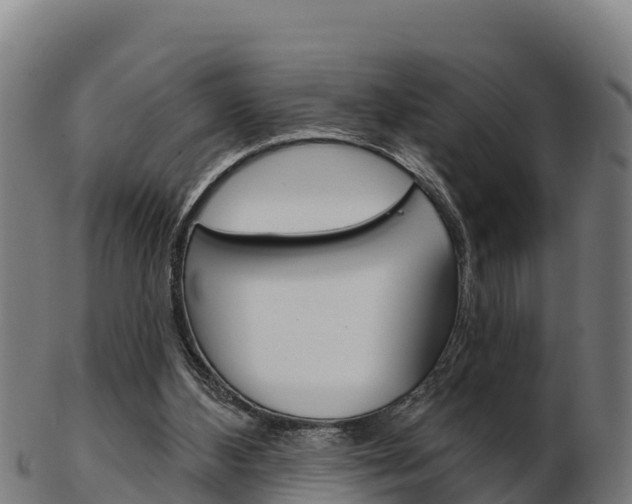 X0000103460108200809121106