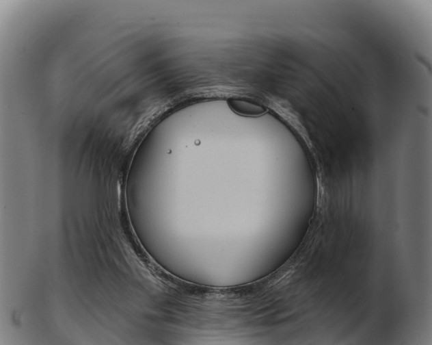 X0000103460109200809121106