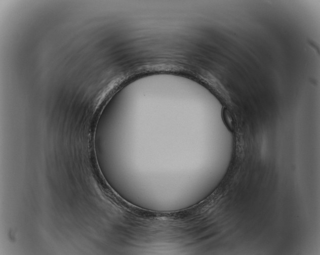 X0000103460111200809121106