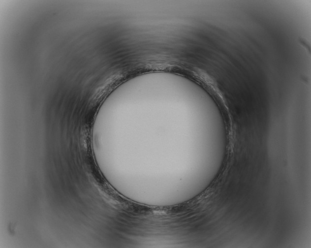 X0000103460114200809121106