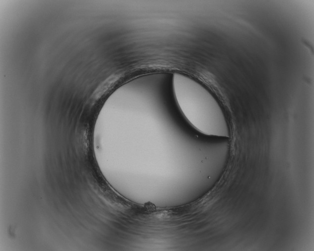 X0000103460116200809121106