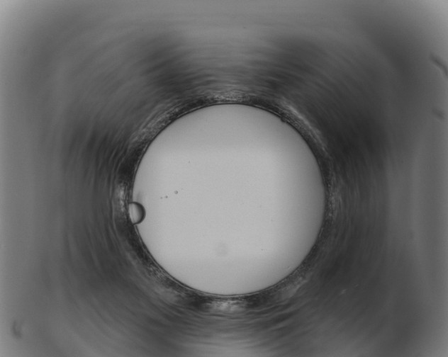 X0000103460117200809121106