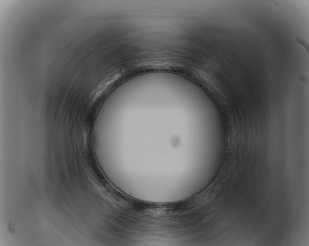 X0000103460120200809121106