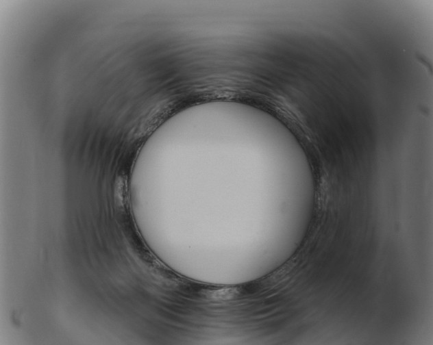 X0000103460122200809121106