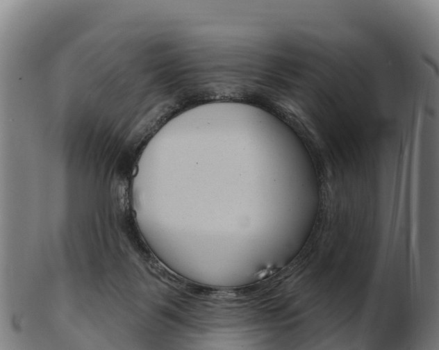 X0000103460123200809121106