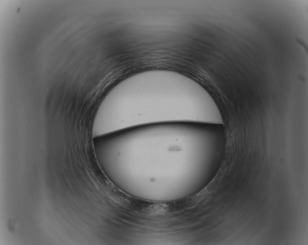 X0000103460124200809121106