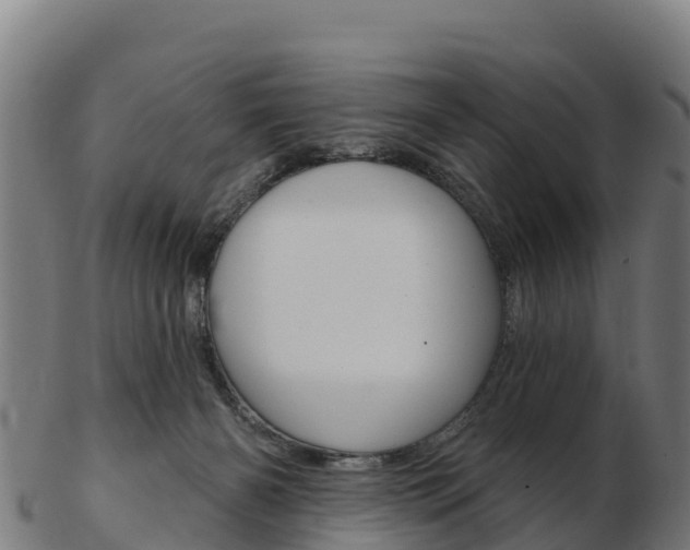 X0000103460126200809121106