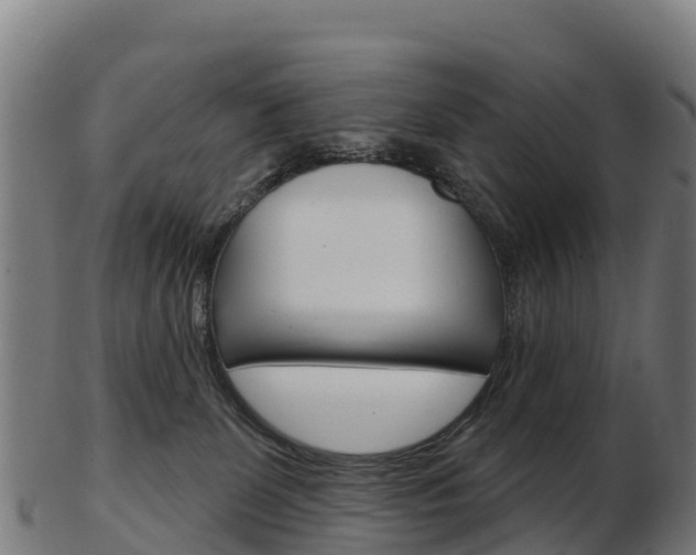 X0000103460131200809121106