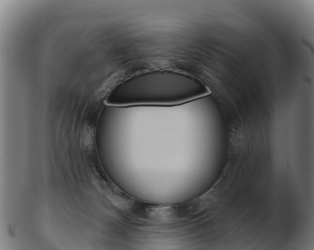 X0000103460132200809121106