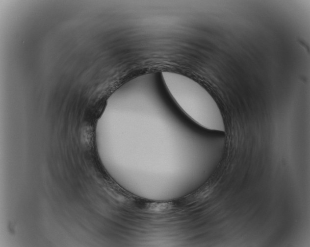 X0000103460135200809121106