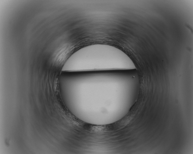 X0000103460139200809121106