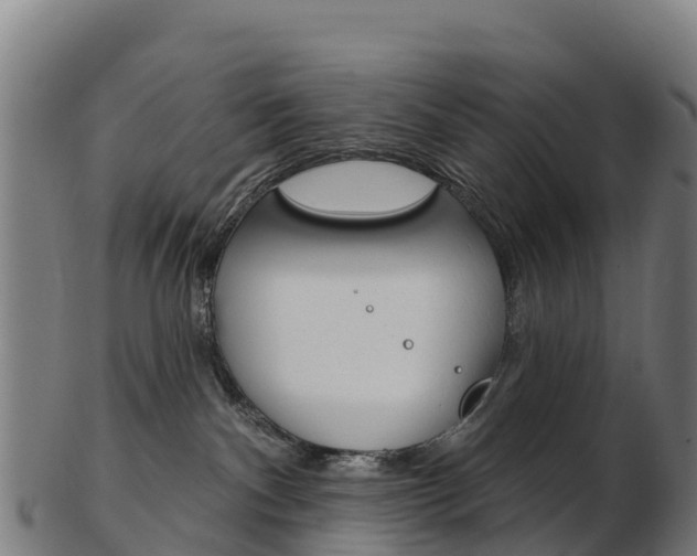 X0000103460140200809121106