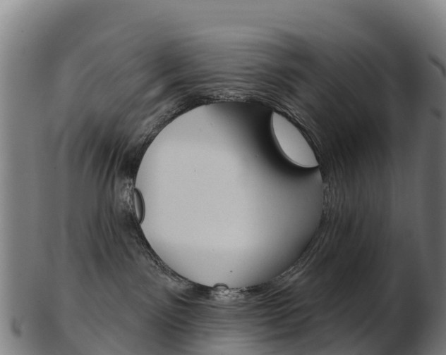 X0000103460141200809121106