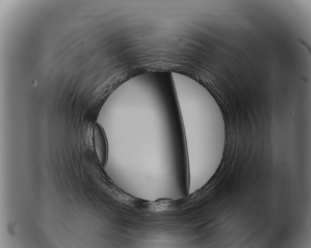 X0000103460143200809121106
