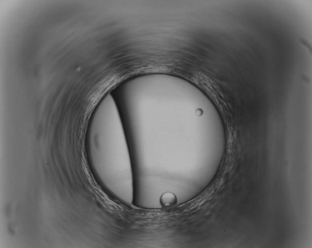 X0000103460145200809121105