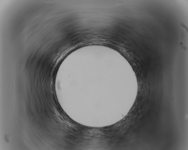 X0000103460146200809121105