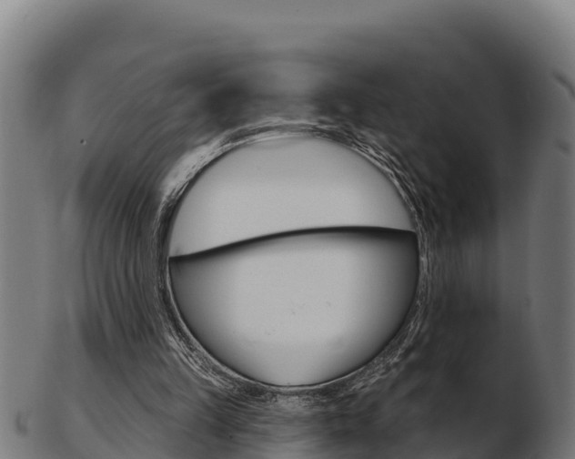 X0000103460149200809121105