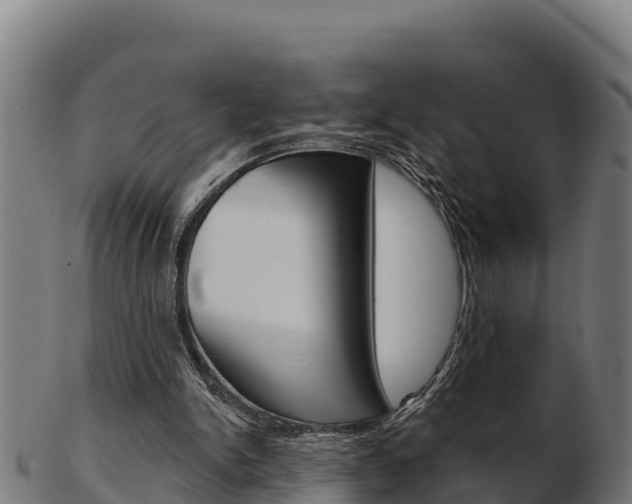 X0000103460150200809121105