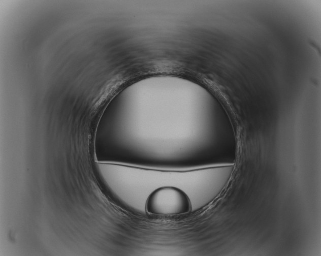 X0000103460154200809121105